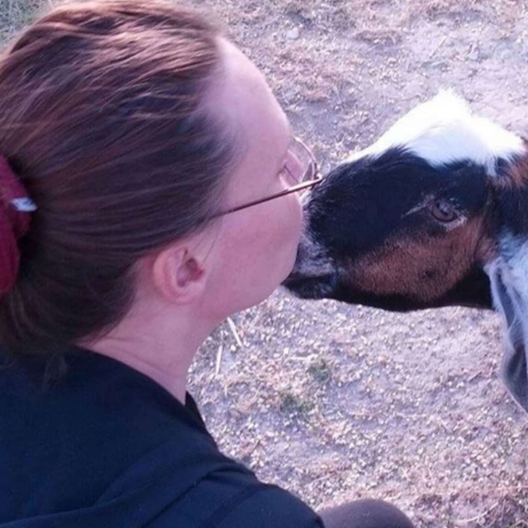 FUNDRAISER 4 RESCUE! - Picture 16 of 16